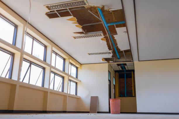 Best Residential water damage restoration  in Hancock, MI
