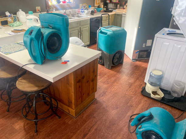 Best Water damage repair service  in Hancock, MI