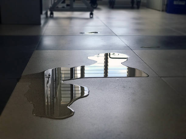 Best Emergency water damage restoration  in Hancock, MI